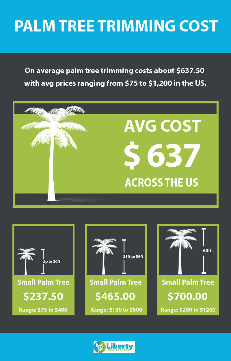 palm-tree-trimming-cost