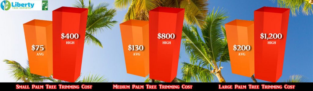 palm-tree-trimming-costs-small-to-medium-large-liberty-tree-experts