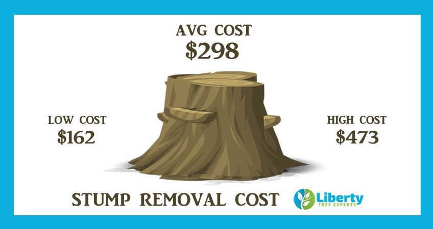tree-stump-removal-grinding-cost